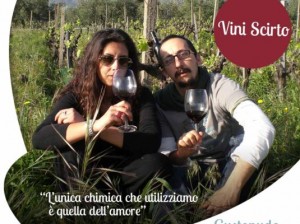 Format-aziende_Vini-Scirto_FACEBOOK-535x400