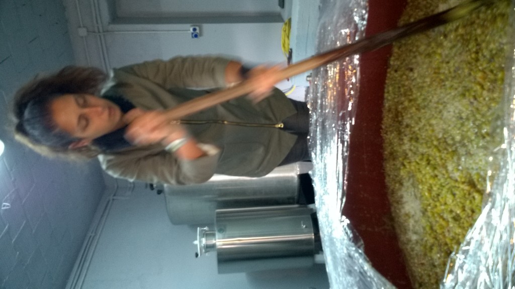 WP_20161002_15_59_36_Pro