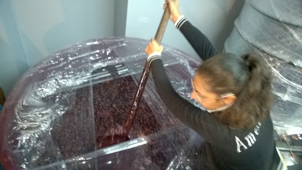 WP_20161009_09_16_44_Pro